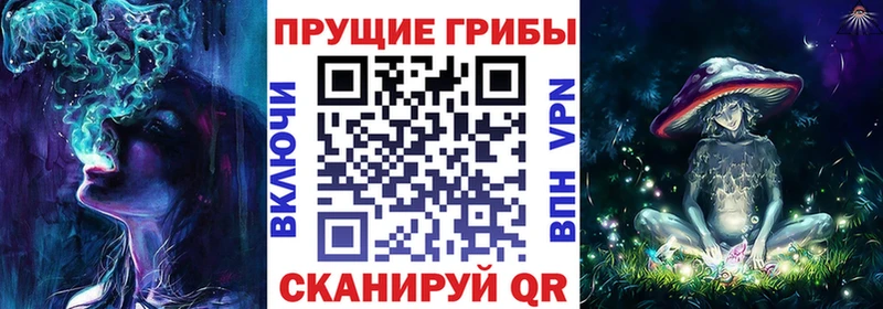 Псилоцибиновые грибы Psilocybine cubensis  Сольвычегодск 